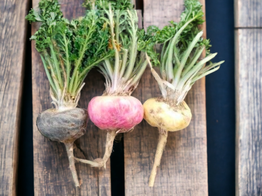 Sexual Desire: How to Reignite the Flame in a Relationship 4 Maca root