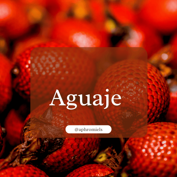 Gorontula – A Natural Remedy for Vaginal Dryness 5 Aguaje fruit