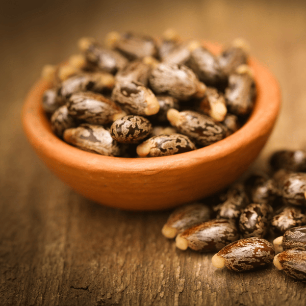 What are natural contraception methods? 2 Les graines de ricin contraception naturelle africaine