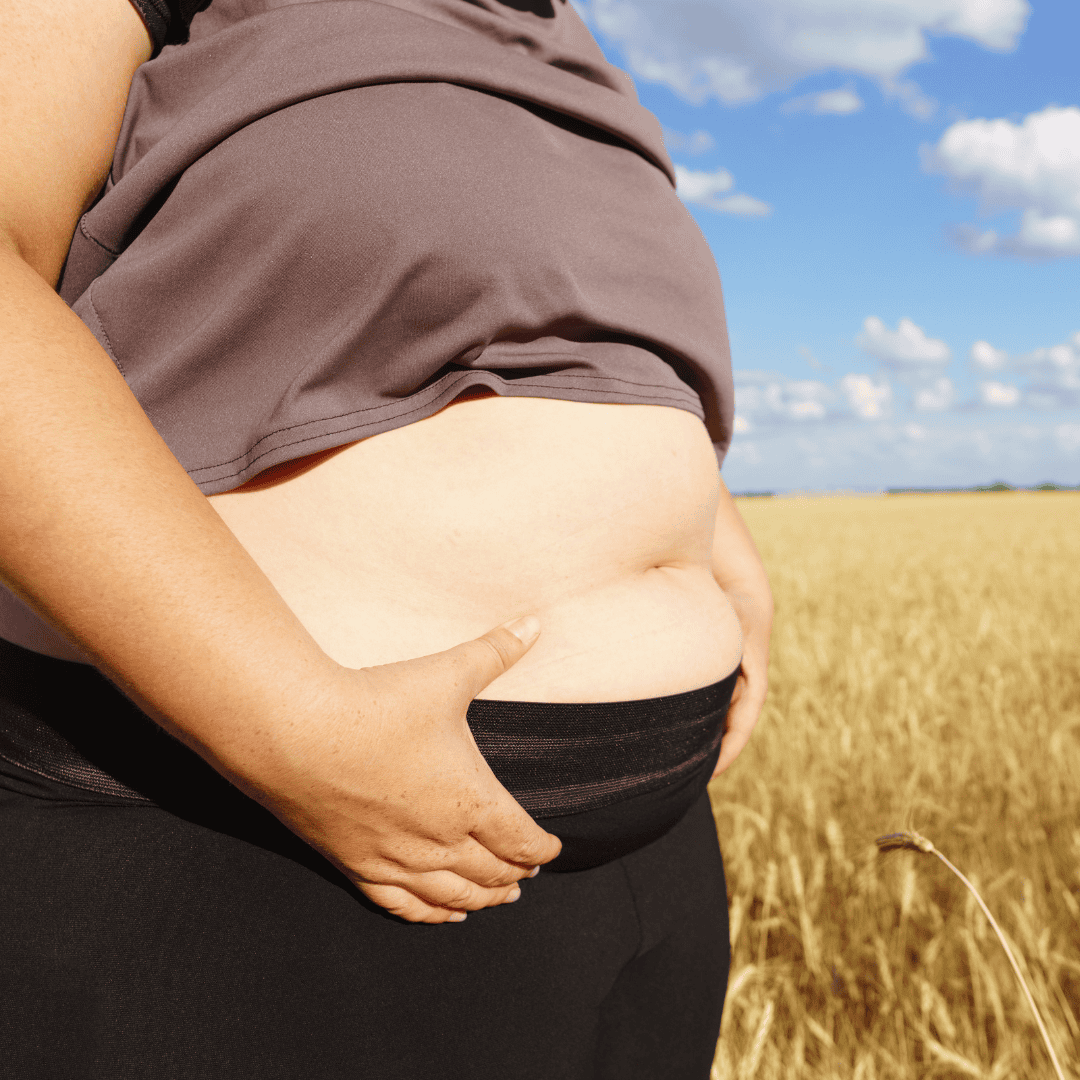 The dangers of fructose: How does it affect women's health? 3 Effets du fructose sur le metabolisme des femmes